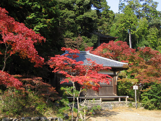 Jingoji Temple Hall