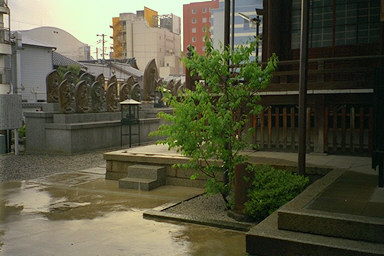 Seishinin Temple Plum Tree