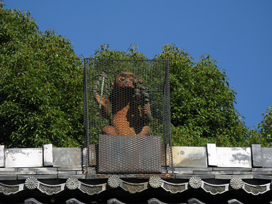 Sekizanzenin Temple Monkey