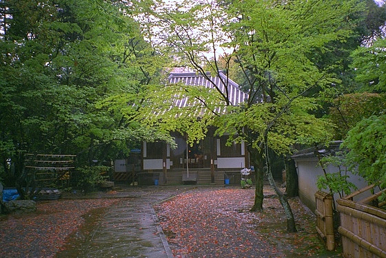 Kannondo